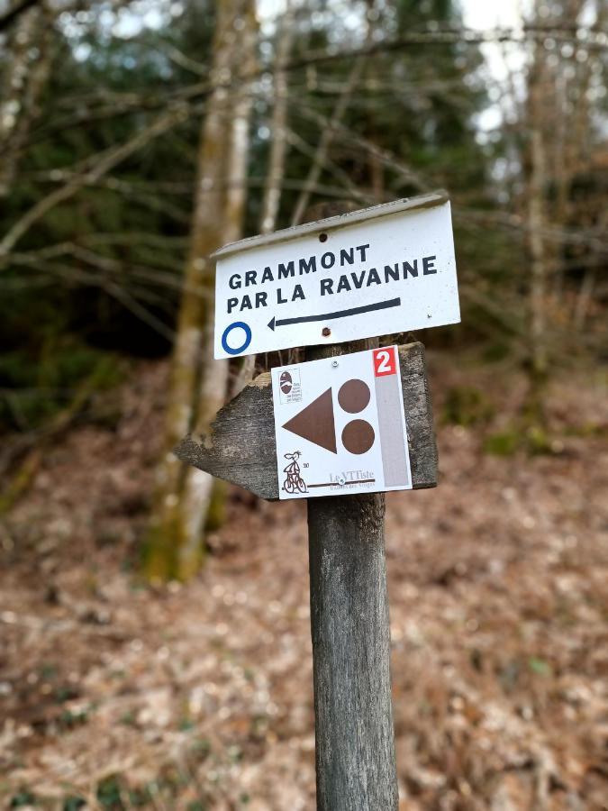 Gite De La Ravanne Ramonchamp Екстер'єр фото